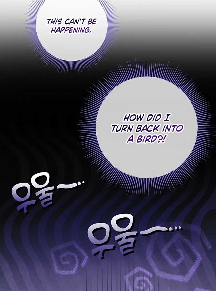 The Beloved New Daughter-in-law Of The Wolf Mansion Chapter 12 - Page 13