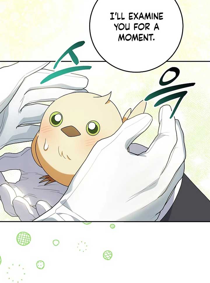 The Beloved New Daughter-in-law Of The Wolf Mansion Chapter 12 - Page 95