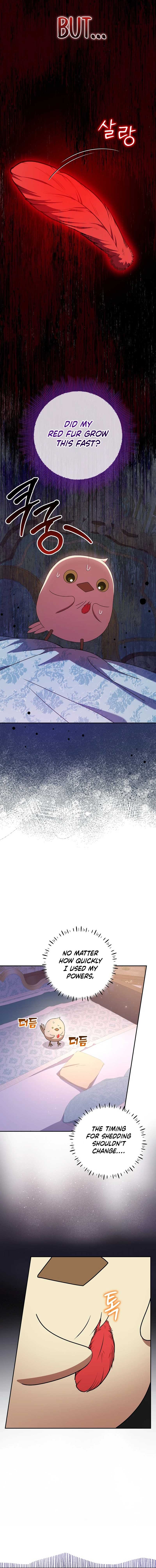 The Beloved New Daughter-in-law Of The Wolf Mansion Chapter 14 - Page 11