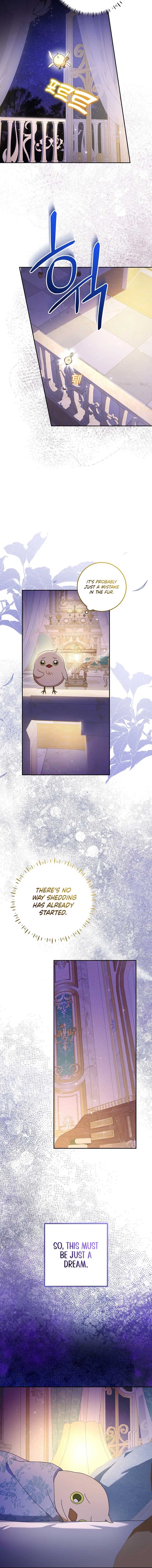 The Beloved New Daughter-in-law Of The Wolf Mansion Chapter 14 - Page 15