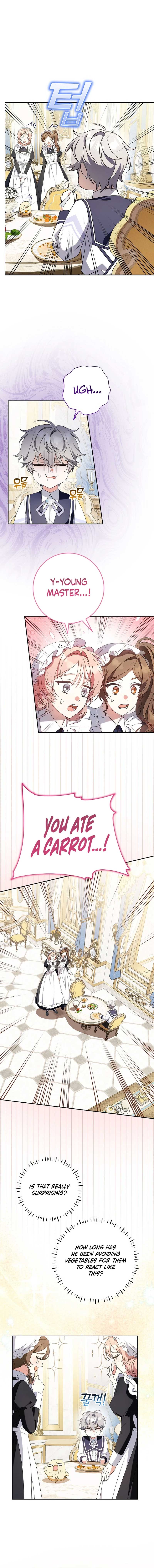 The Beloved New Daughter-in-law Of The Wolf Mansion Chapter 15 - Page 9