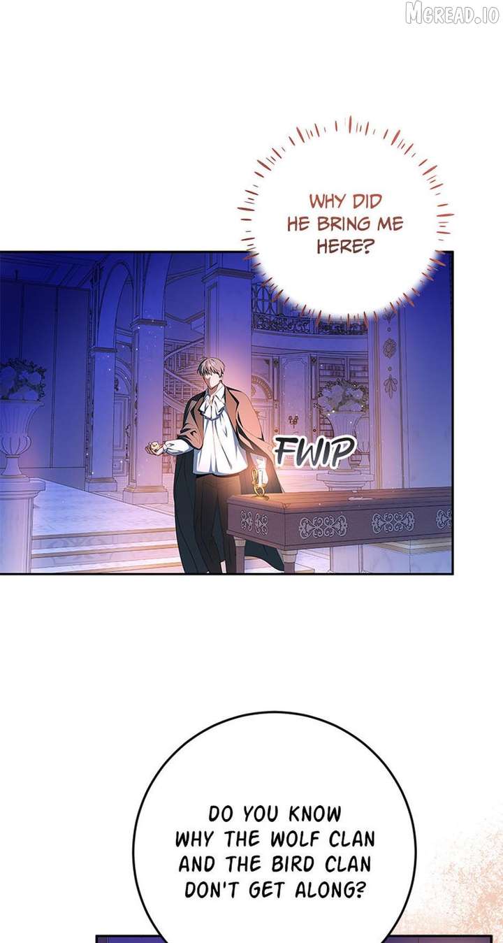 The Beloved New Daughter-in-law Of The Wolf Mansion Chapter 62 - Page 11