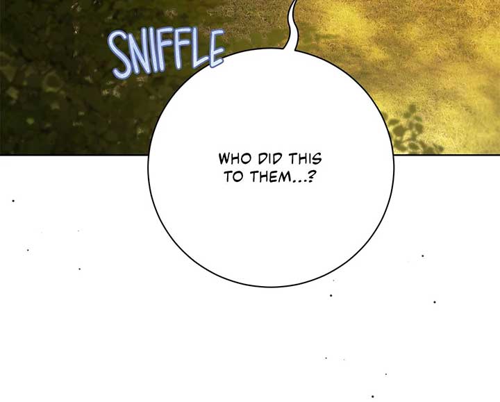 The Count’s Secret Maid Chapter 46 - Page 15