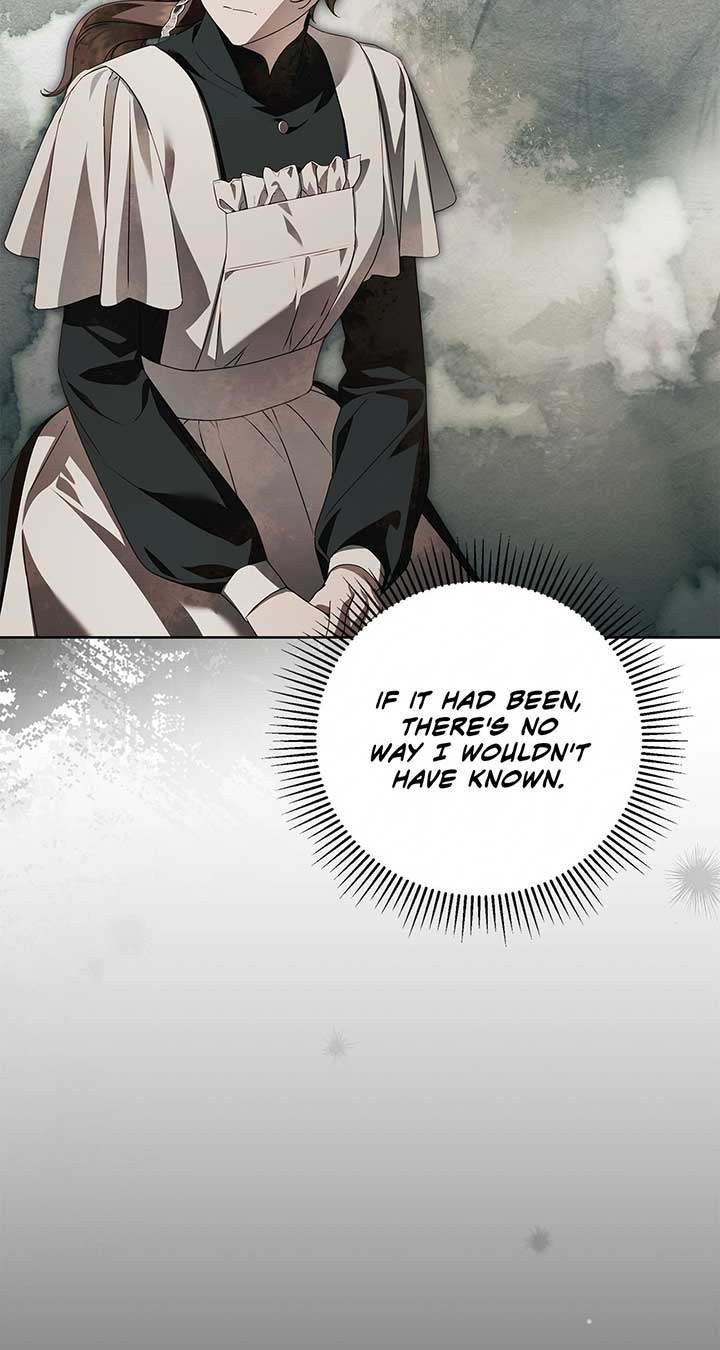 The Count’s Secret Maid Chapter 46 - Page 17