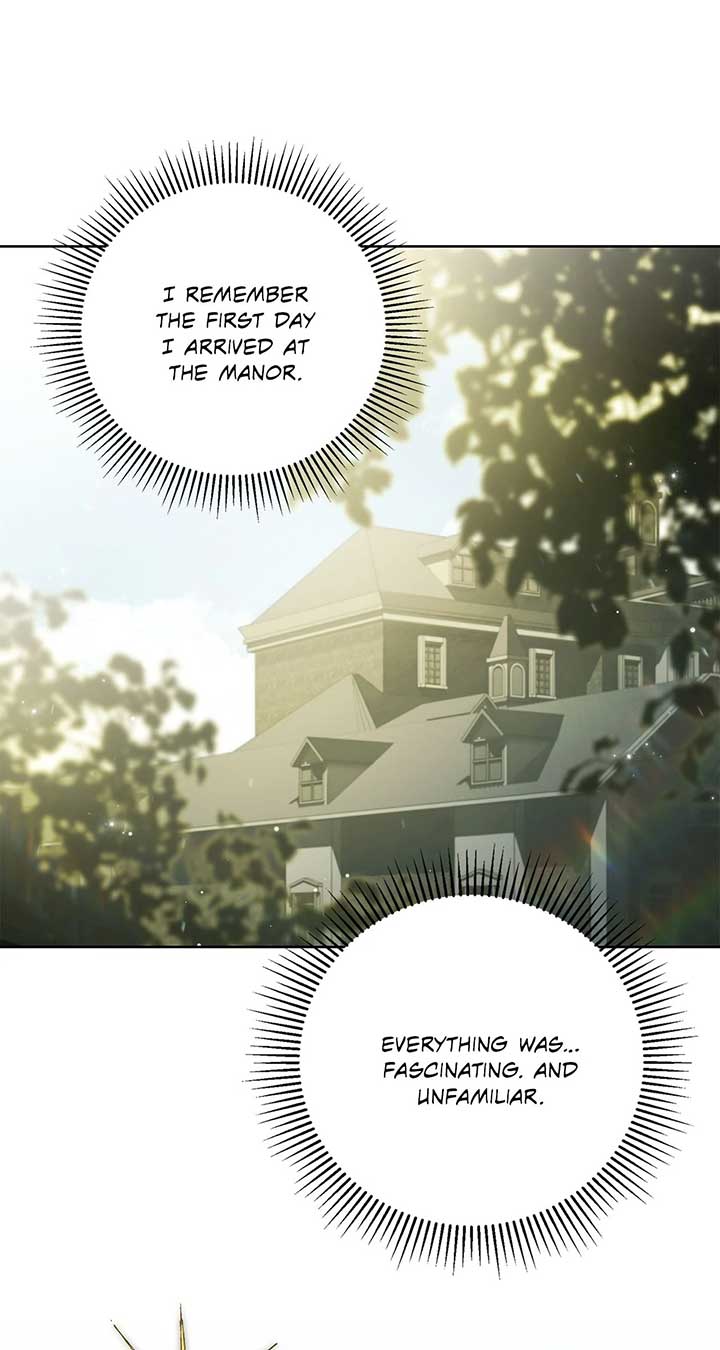 The Count’s Secret Maid Chapter 46 - Page 49