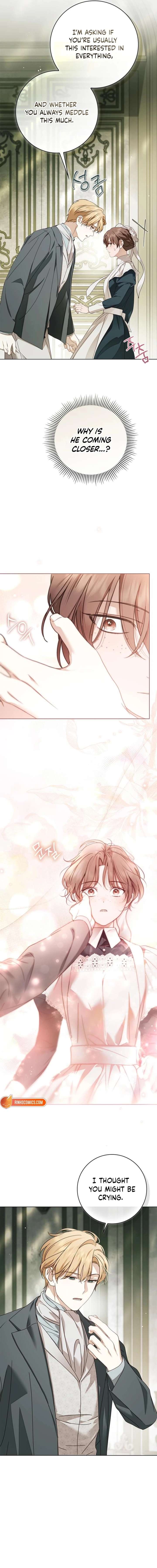The Count’s Secret Maid Chapter 84 - Page 8