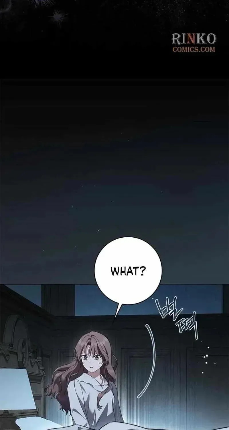 The Count’s Secret Maid Chapter 90.6 - Page 42