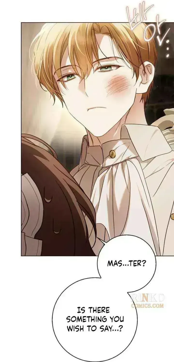 The Count’s Secret Maid Chapter 90.9 - Page 86