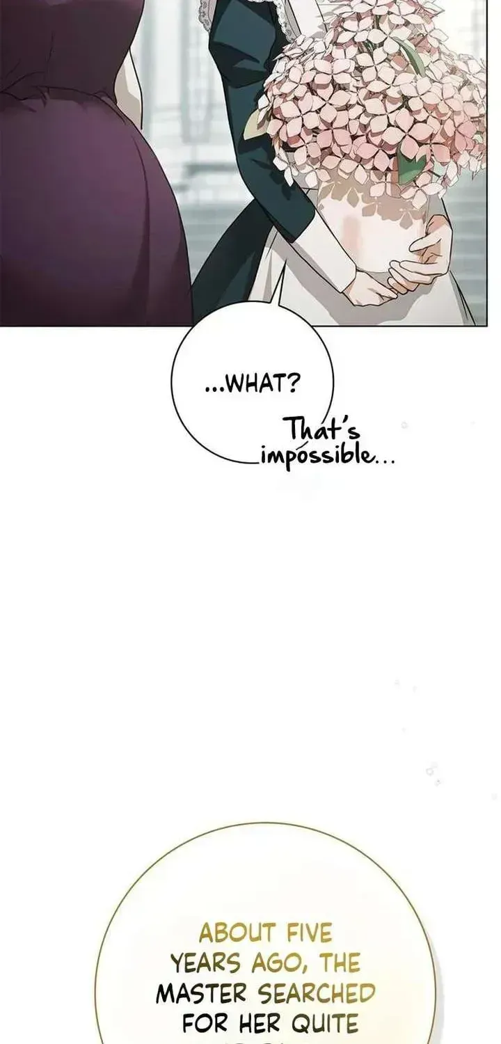 The Count’s Secret Maid Chapter 91.5 - Page 67