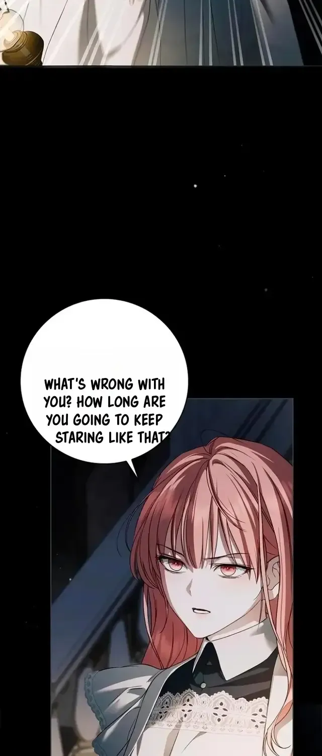 The Count’s Secret Maid Chapter 91 - Page 5