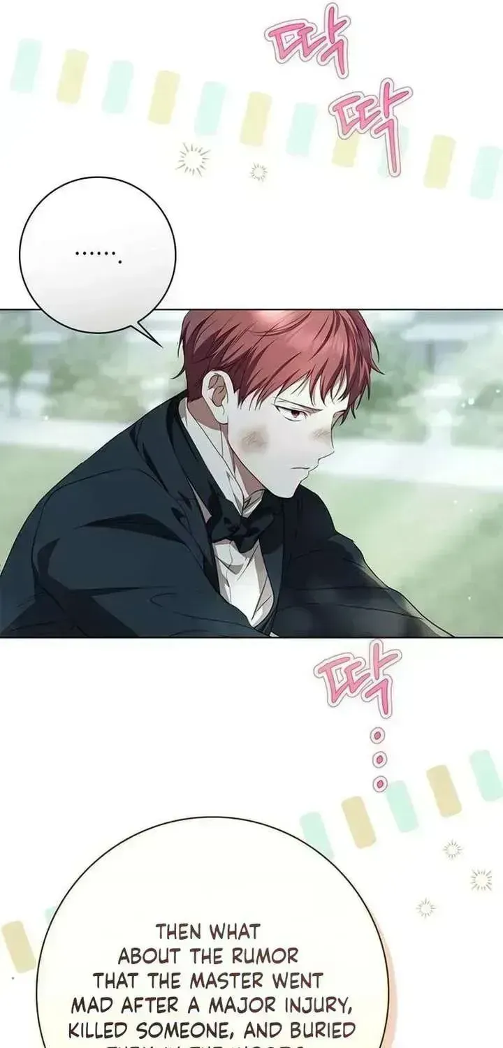 The Count’s Secret Maid Chapter 93.9 - Page 11