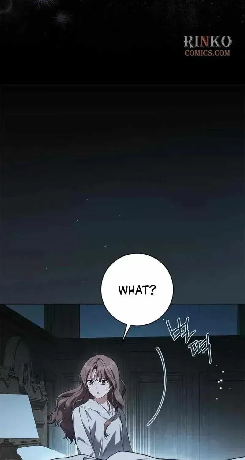 The Count’s Secret Maid Chapter 97 - Page 42