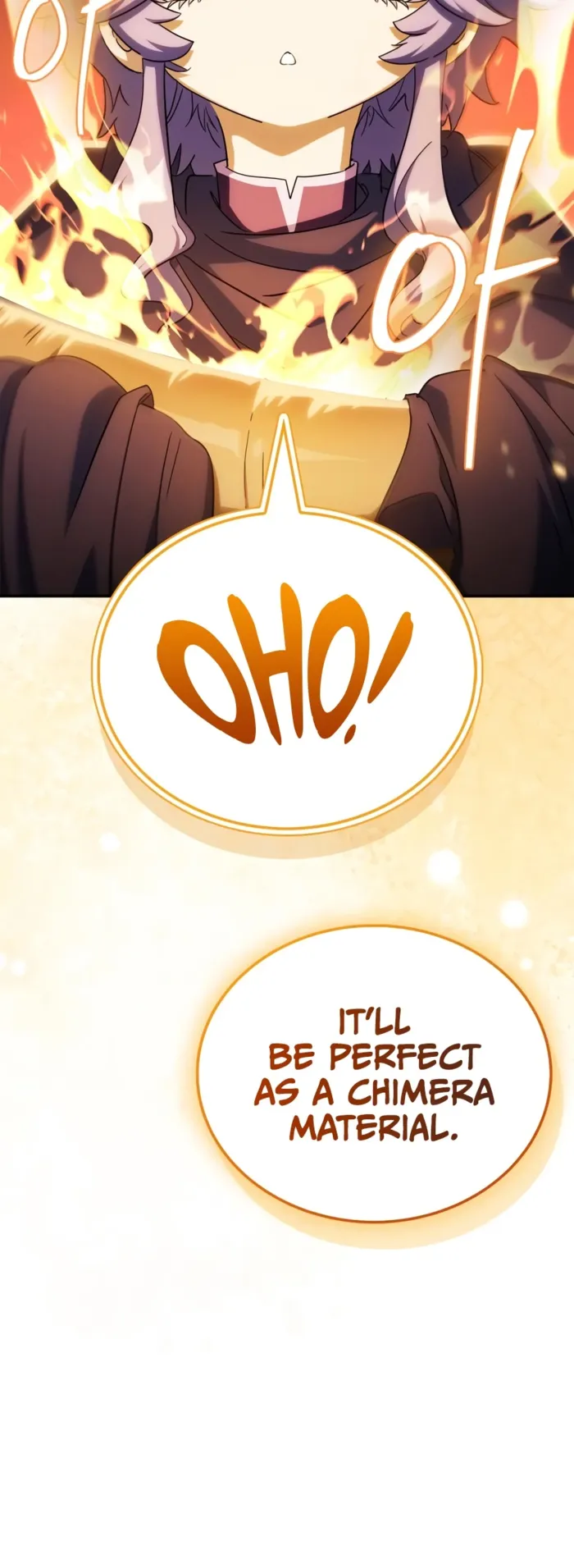 The Demon King Overrun by Heroes Chapter 33 - Page 10