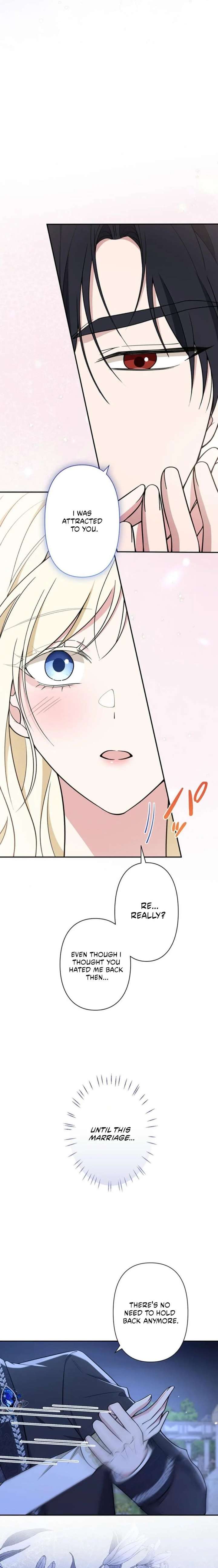 The Enemy King’s Substitute Bride Chapter 17 - Page 27