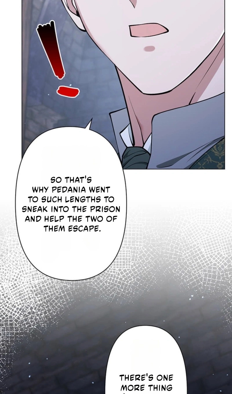 The Enemy King’s Substitute Bride Chapter 46 - Page 3
