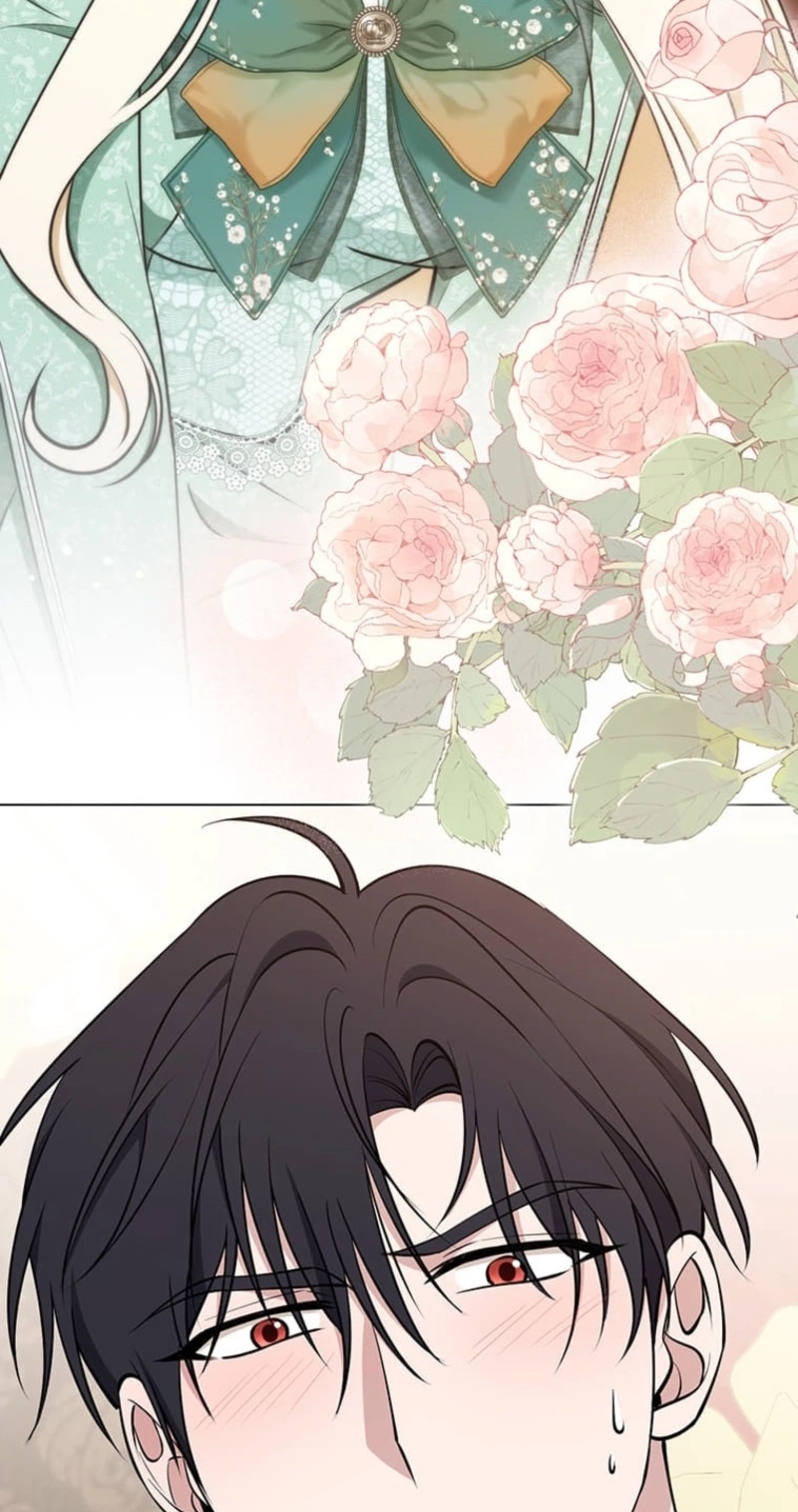 The Enemy King’s Substitute Bride Chapter 46 - Page 28