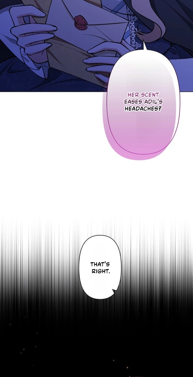 The Enemy King’s Substitute Bride Chapter 46 - Page 66