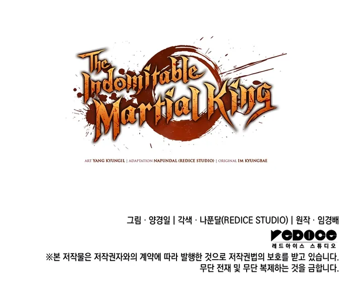 The Indomitable Martial King Chapter 47 - Page 14