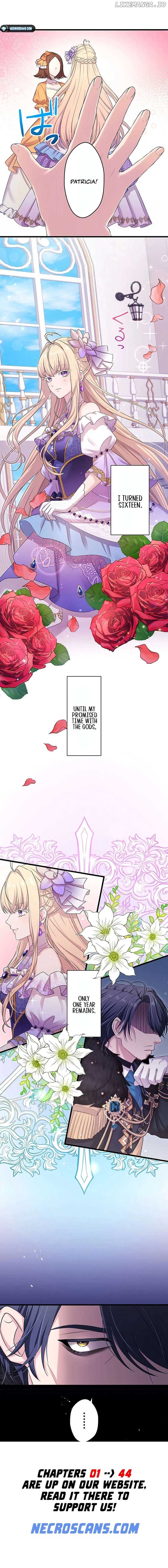 The Legendary Assassin Reincarnated as the Beloved Youngest Daughter of a Royal Family Chapter 37 - Page 13