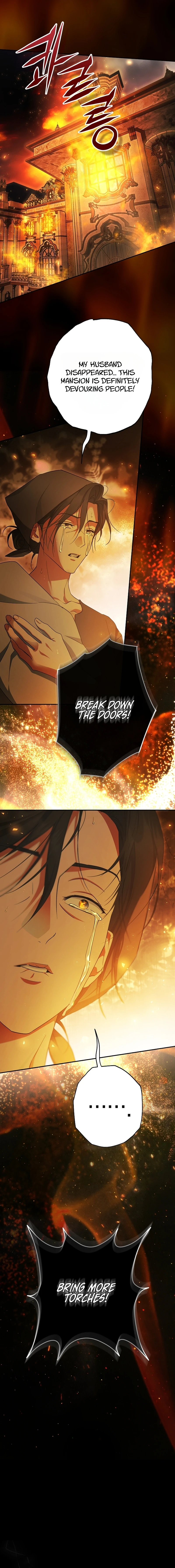 The Male Leads Were Stolen by the Extra Chapter 100 - Page 3
