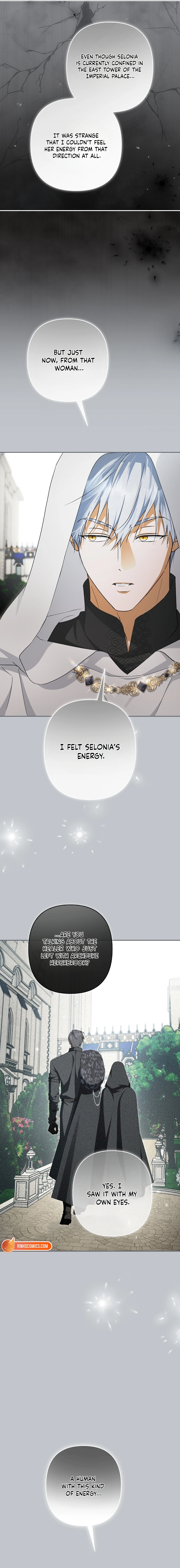 The Male Leads Were Stolen by the Extra Chapter 100 - Page 9