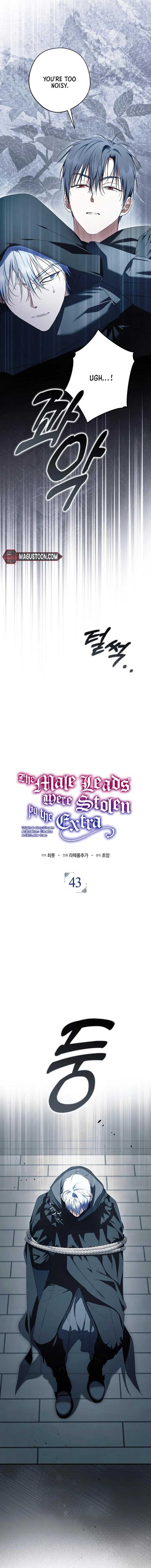 The Male Leads Were Stolen by the Extra Chapter 43 - Page 3
