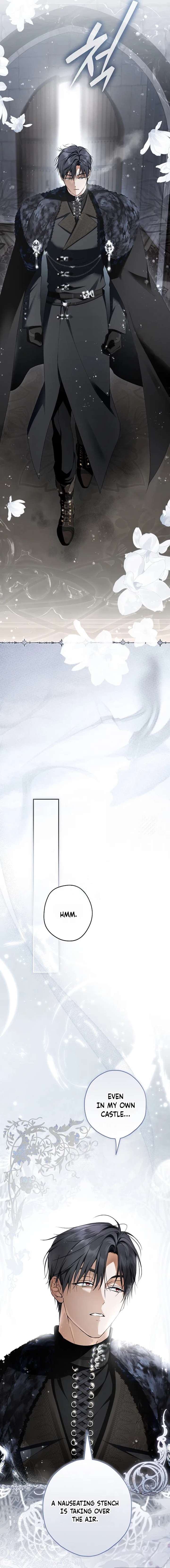 The Male Leads Were Stolen by the Extra Chapter 86 - Page 3