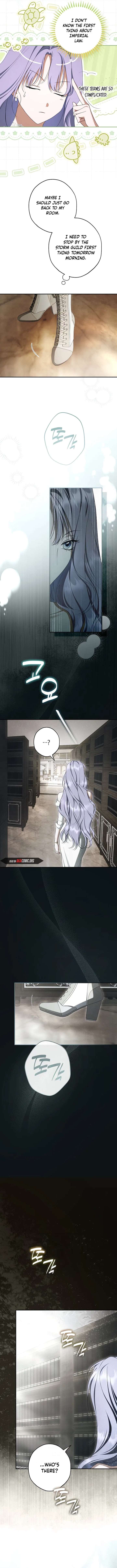 The Male Leads Were Stolen by the Extra Chapter 86 - Page 11