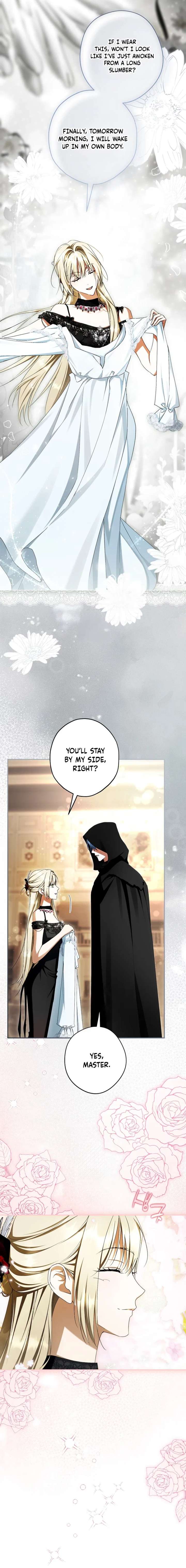 The Male Leads Were Stolen by the Extra Chapter 87 - Page 5