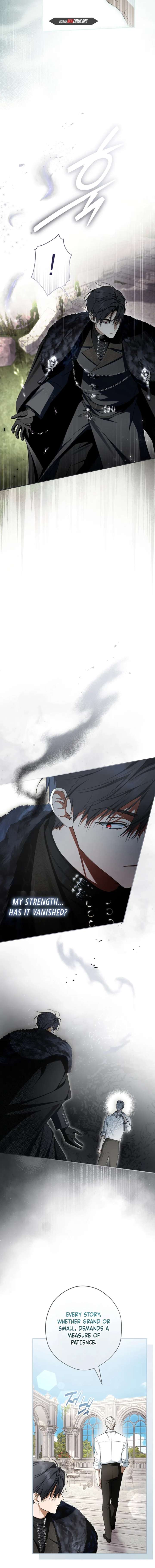 The Male Leads Were Stolen by the Extra Chapter 88 - Page 4