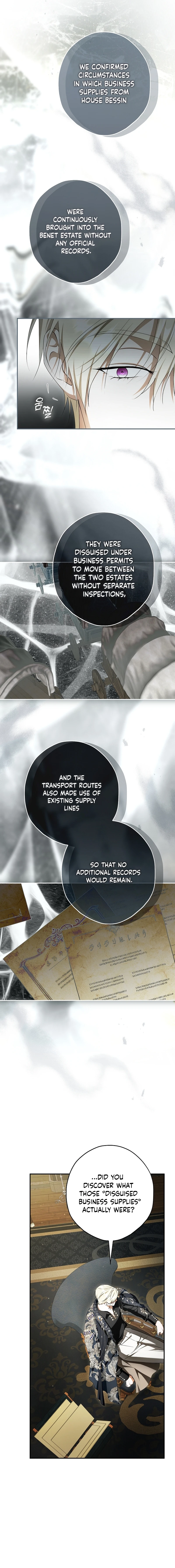 The Male Leads Were Stolen by the Extra Chapter 90 - Page 9