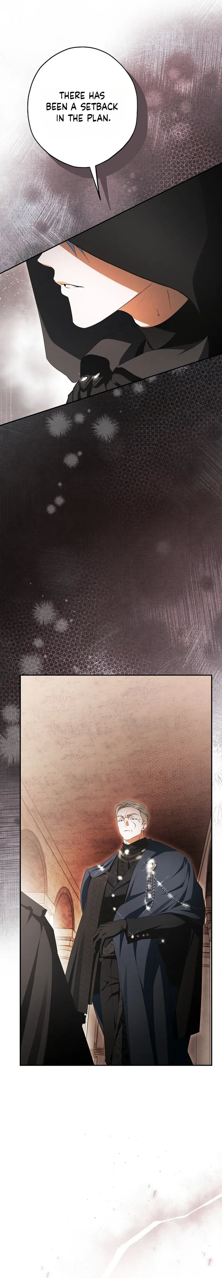 The Male Leads Were Stolen by the Extra Chapter 91 - Page 3