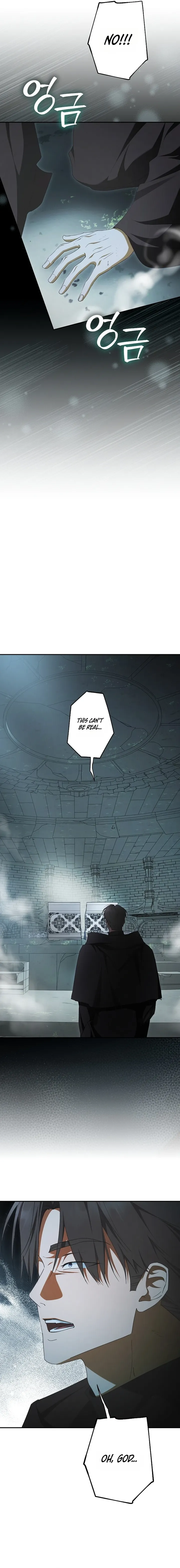 The Male Leads Were Stolen by the Extra Chapter 91 - Page 6