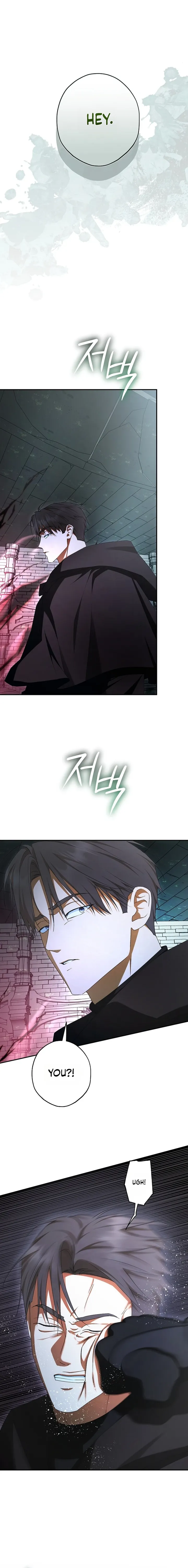 The Male Leads Were Stolen by the Extra Chapter 91 - Page 12