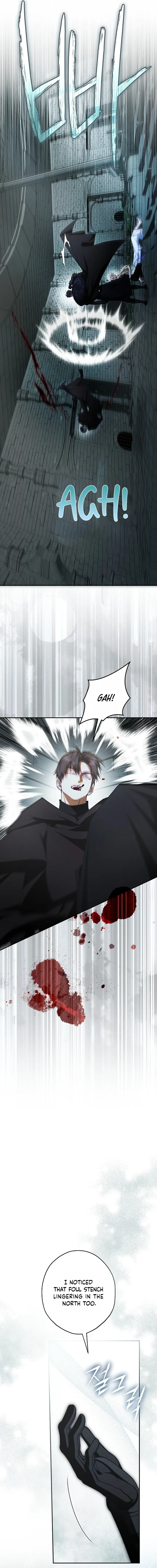 The Male Leads Were Stolen by the Extra Chapter 91 - Page 13