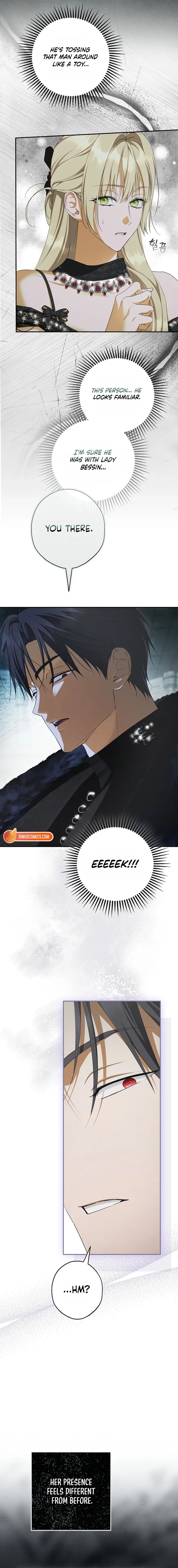 The Male Leads Were Stolen by the Extra Chapter 91 - Page 17