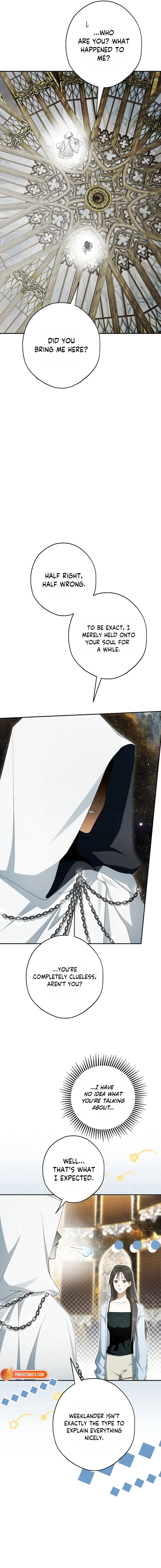 The Male Leads Were Stolen by the Extra Chapter 92 - Page 8