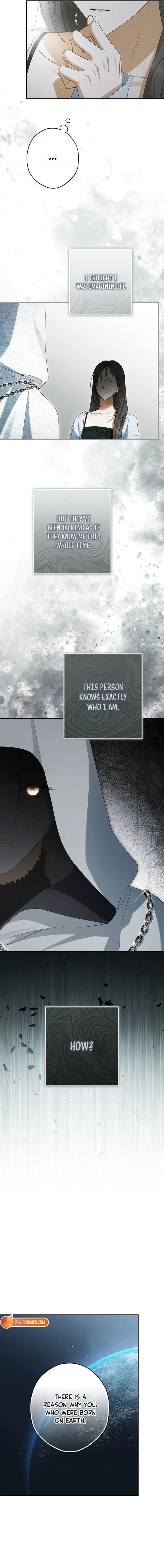 The Male Leads Were Stolen by the Extra Chapter 92 - Page 17