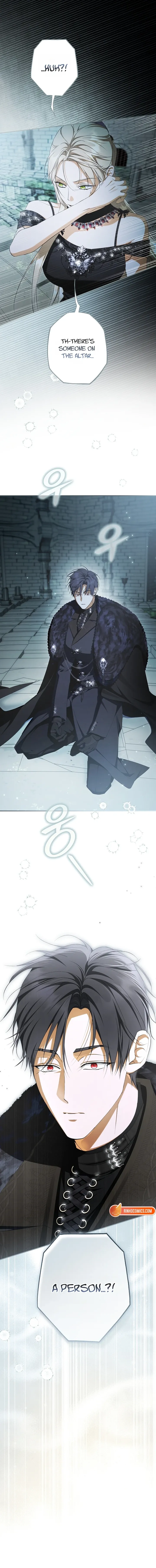 The Male Leads Were Stolen by the Extra Chapter 92 - Page 24