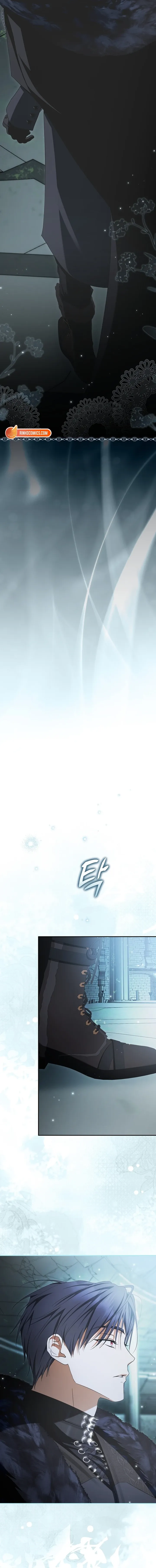 The Male Leads Were Stolen by the Extra Chapter 93 - Page 4