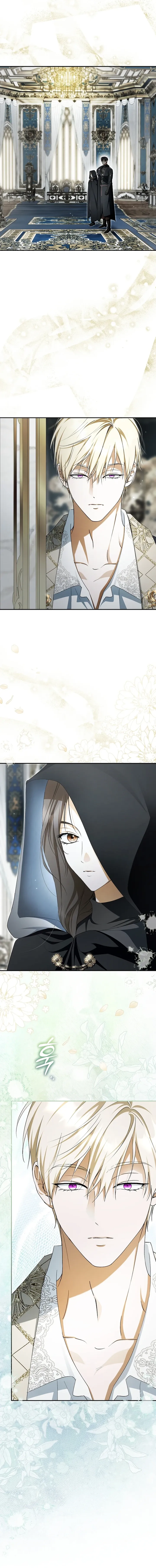 The Male Leads Were Stolen by the Extra Chapter 95 - Page 15