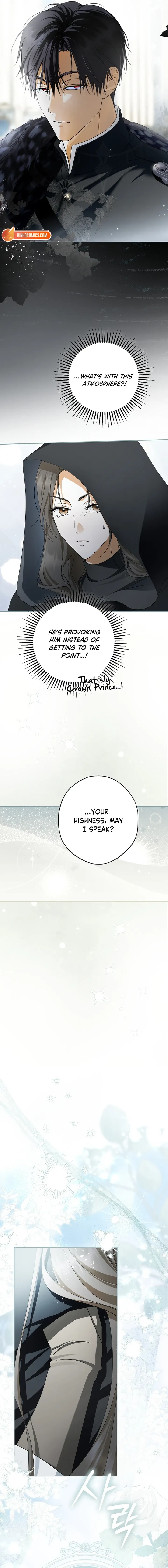 The Male Leads Were Stolen by the Extra Chapter 95 - Page 19