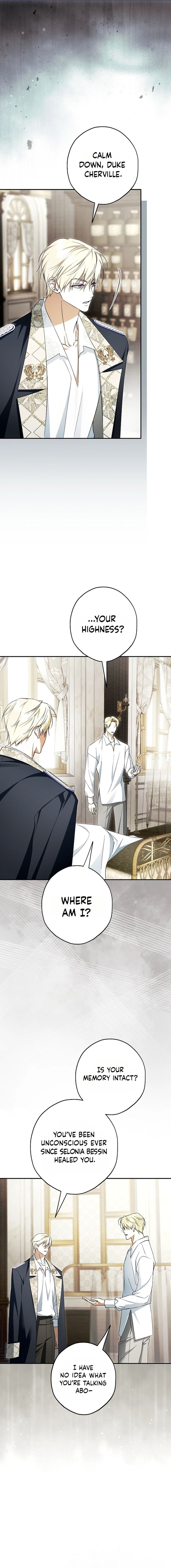 The Male Leads Were Stolen by the Extra Chapter 96 - Page 17