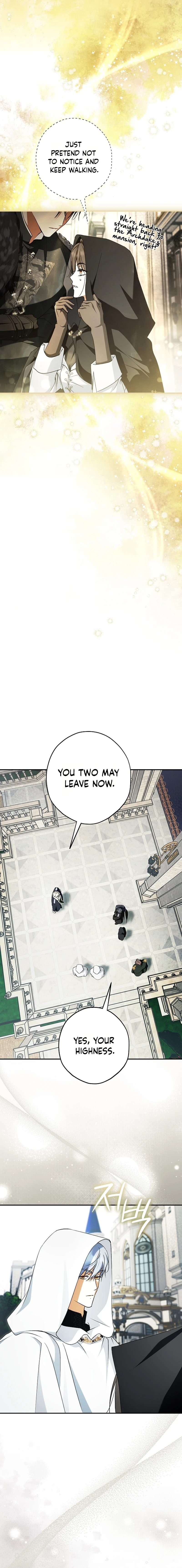The Male Leads Were Stolen by the Extra Chapter 97 - Page 8
