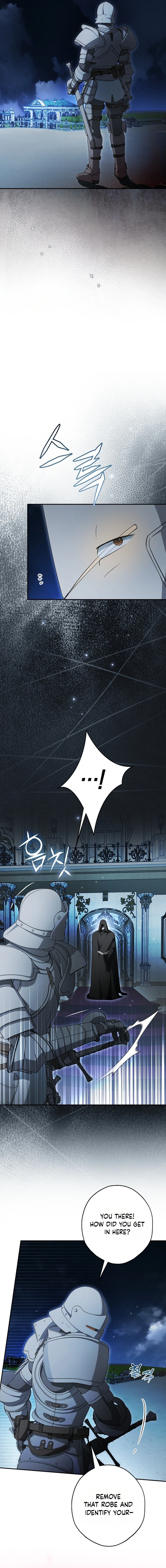 The Male Leads Were Stolen by the Extra Chapter 98 - Page 4