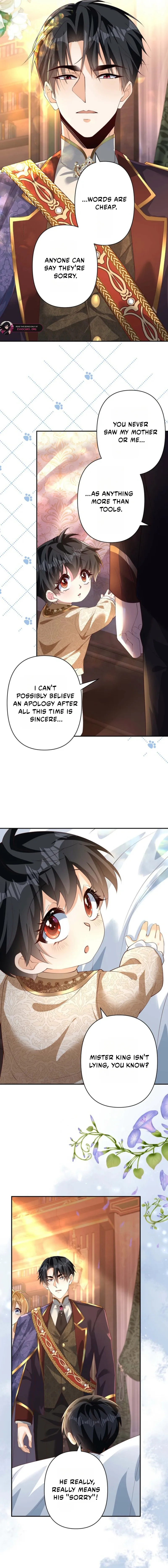 The Marriage Statute Has Expired – I Intended to Begin This Life With a Divorce, But the Prince Clings to Me Chapter 43 - Page 15