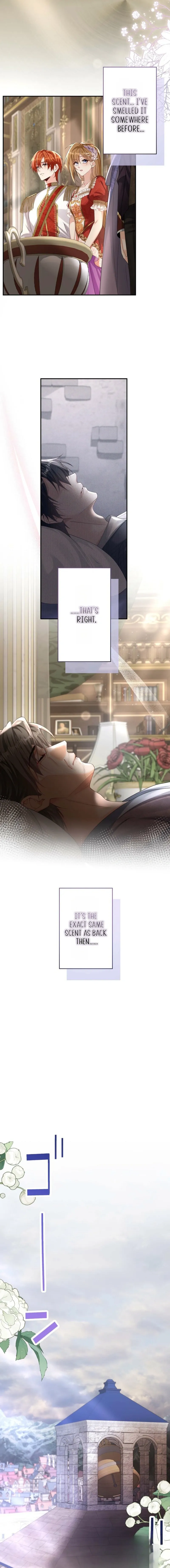The Marriage Statute Has Expired – I Intended to Begin This Life With a Divorce, But the Prince Clings to Me Chapter 44 - Page 3