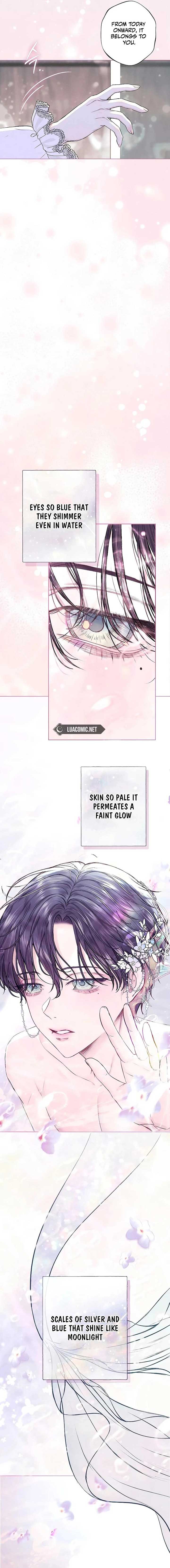 The Merman Trapped in My Lake Chapter 1 - Page 21