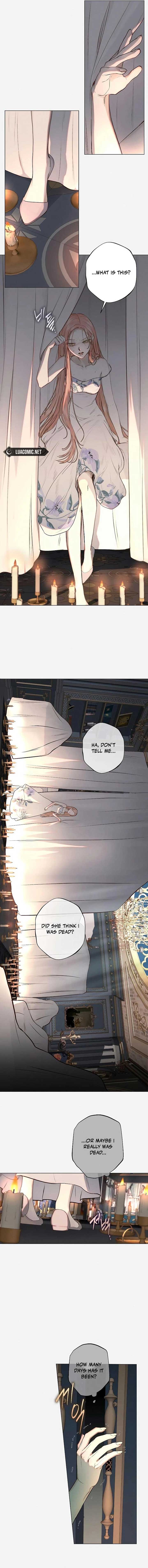 The Merman Trapped in My Lake Chapter 4 - Page 8