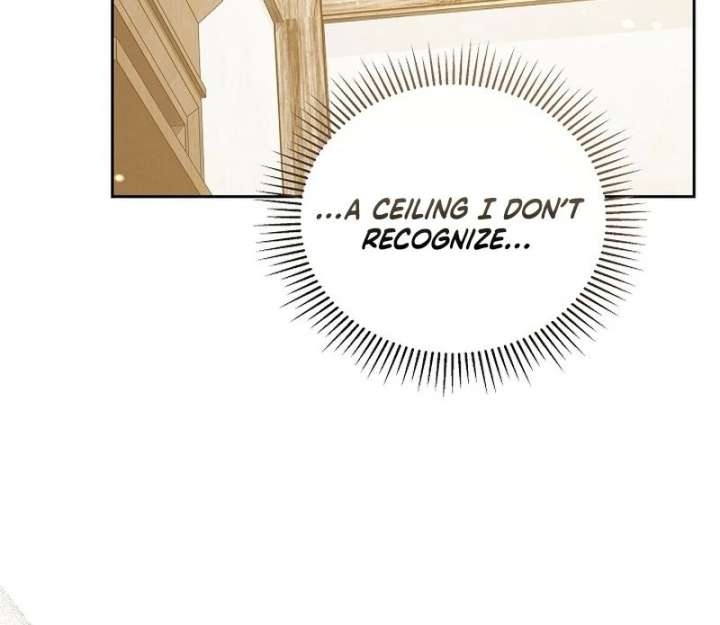 The Reason Why That Villainess Picked Up A Sword Chapter 33 - Page 8
